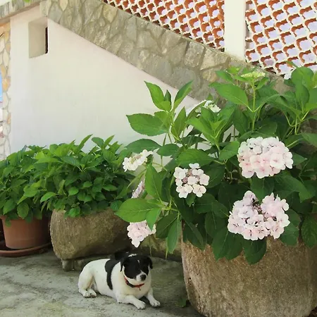 With Parking Space Silo, Krk - 18760 *